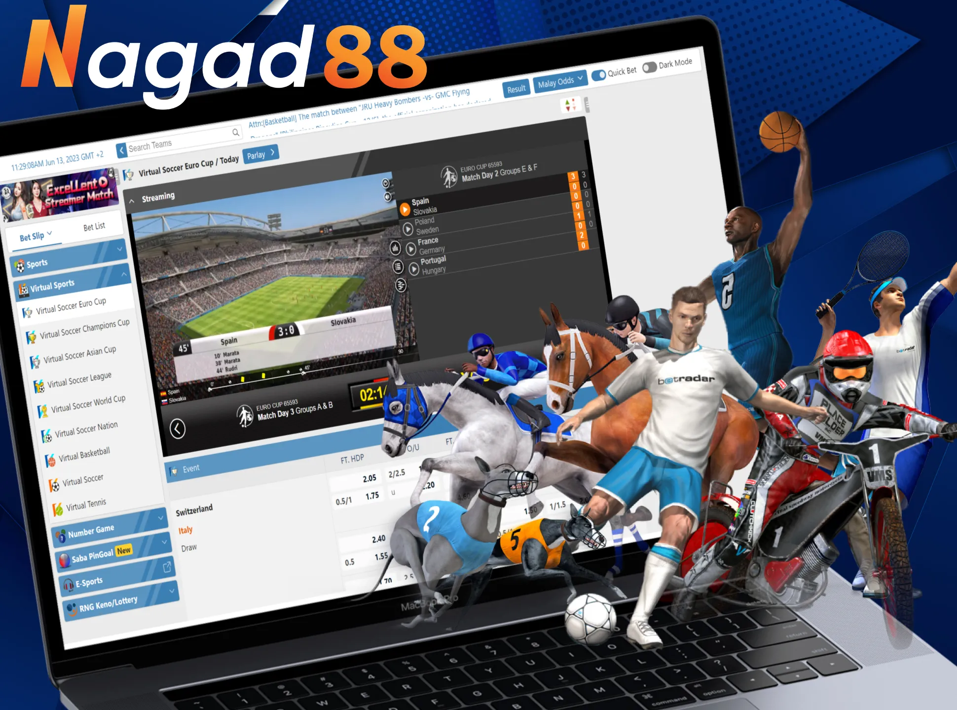 In Nagad88, you can bet on virtual sports as well.
