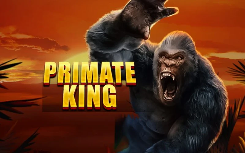 You will get exited in Primate King Nagad88 game.